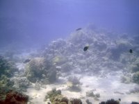 Вид в море с подводной обсерватории